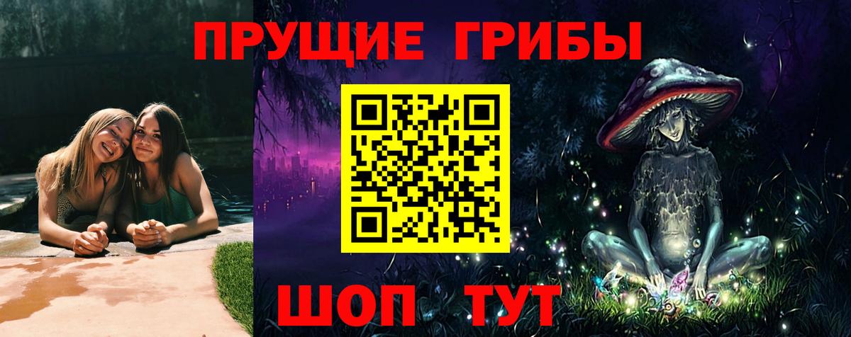 Галлюциногенные грибы Psilocybine cubensis Сегежа
