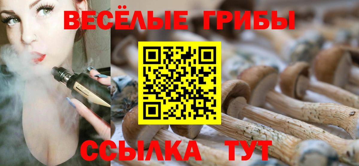 Псилоцибиновые грибы ЛСД  Галлюциногенные грибы Magic Shrooms  Сегежа  как найти наркотики  Вход с VPN 